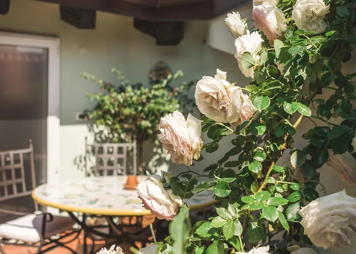 Palazzo Salem M1 Roof Garden