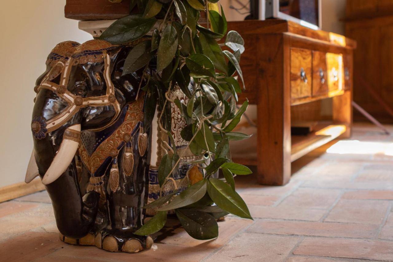 Palazzo Salem M1 Roof Garden Apartment Trieste